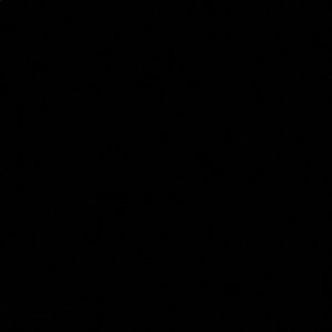 Meet your Posher, Sima